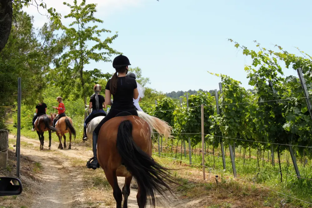 Group of riders on a road.